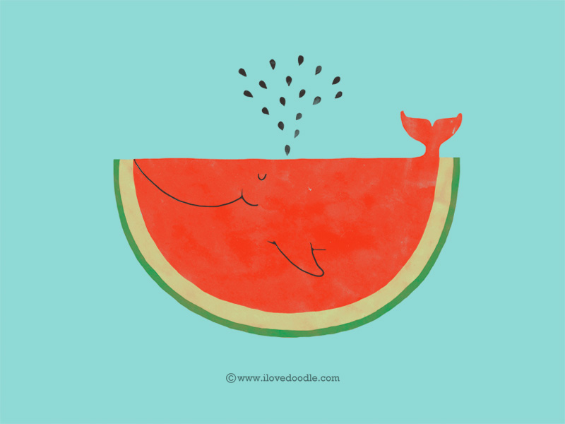 whalemelon